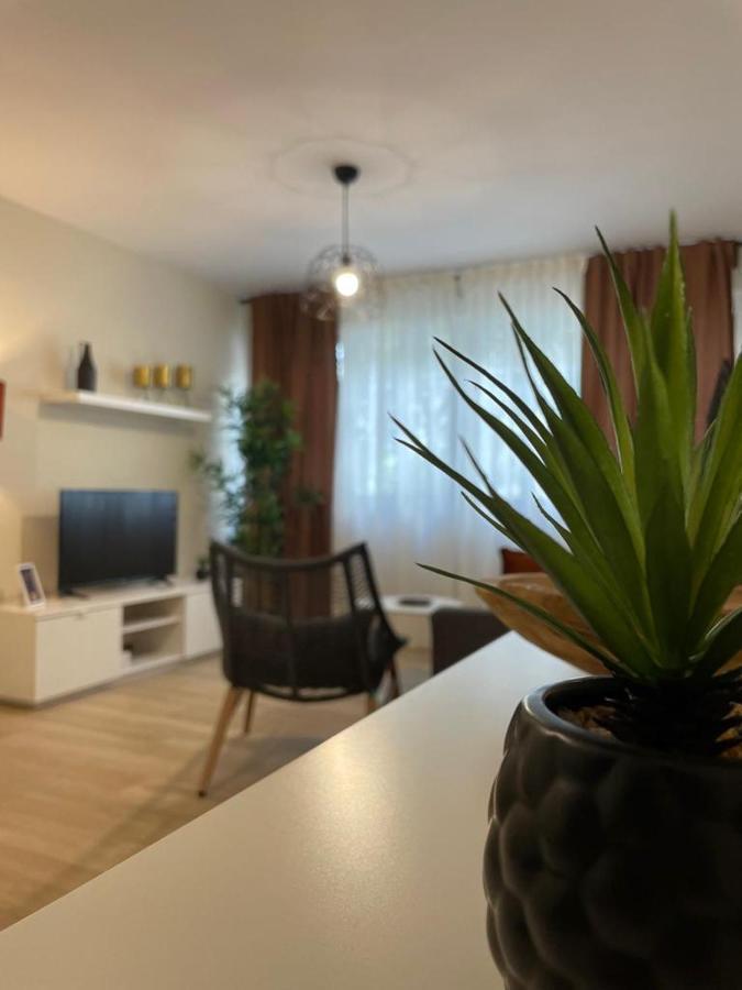 Apartamento Jerez 2022 Jerez de la Frontera Exterior foto